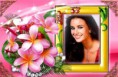 /album/ine/flower-frame-ougp-4wn-print-jpg/