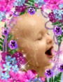 /album/ine/me-in-spring-flower-10jui-5gg-print-jpg/