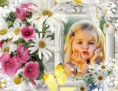 /album/ine/my-flowers-frame-10jui-5h5-print-jpg/