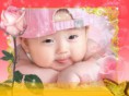 /album/ine/pink-rose-10jui-5gc-print-jpg/