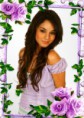 /album/ine/roses-ougp-2bu-print-jpg/