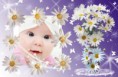 /album/ine/spring-10jui-5gr-print-jpg/