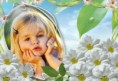 /album/ine/spring-10jui-5hg-print-jpg/