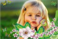 /album/ine/spring-frame-1-10jui-5gj-print-jpg/