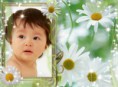 /album/ine/spring-frame-10jui-5he-print-jpg/