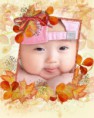 /album/ine/the-beauty-of-fall-10jui-5hb-print-jpg/