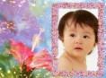 /album/ine/tropical-dream-10jui-5go-print-jpg/