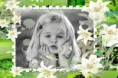 /album/ine/white-flower-10jui-5ht-print-jpg/