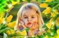 /album/ine/yellow-tulips-10jui-5h7-print-jpg/
